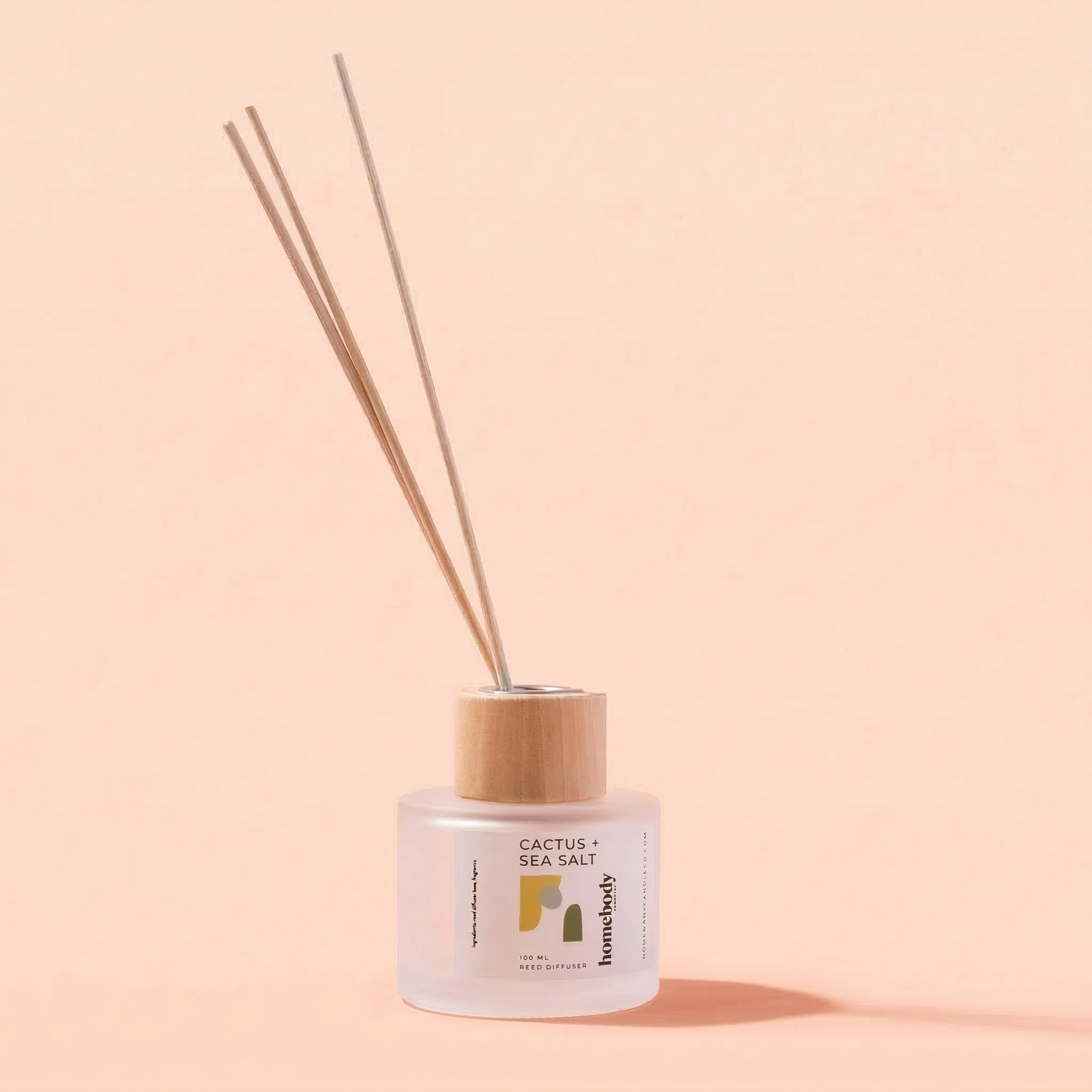 Cactus + Sea Salt Diffuser Homebody Candle Co