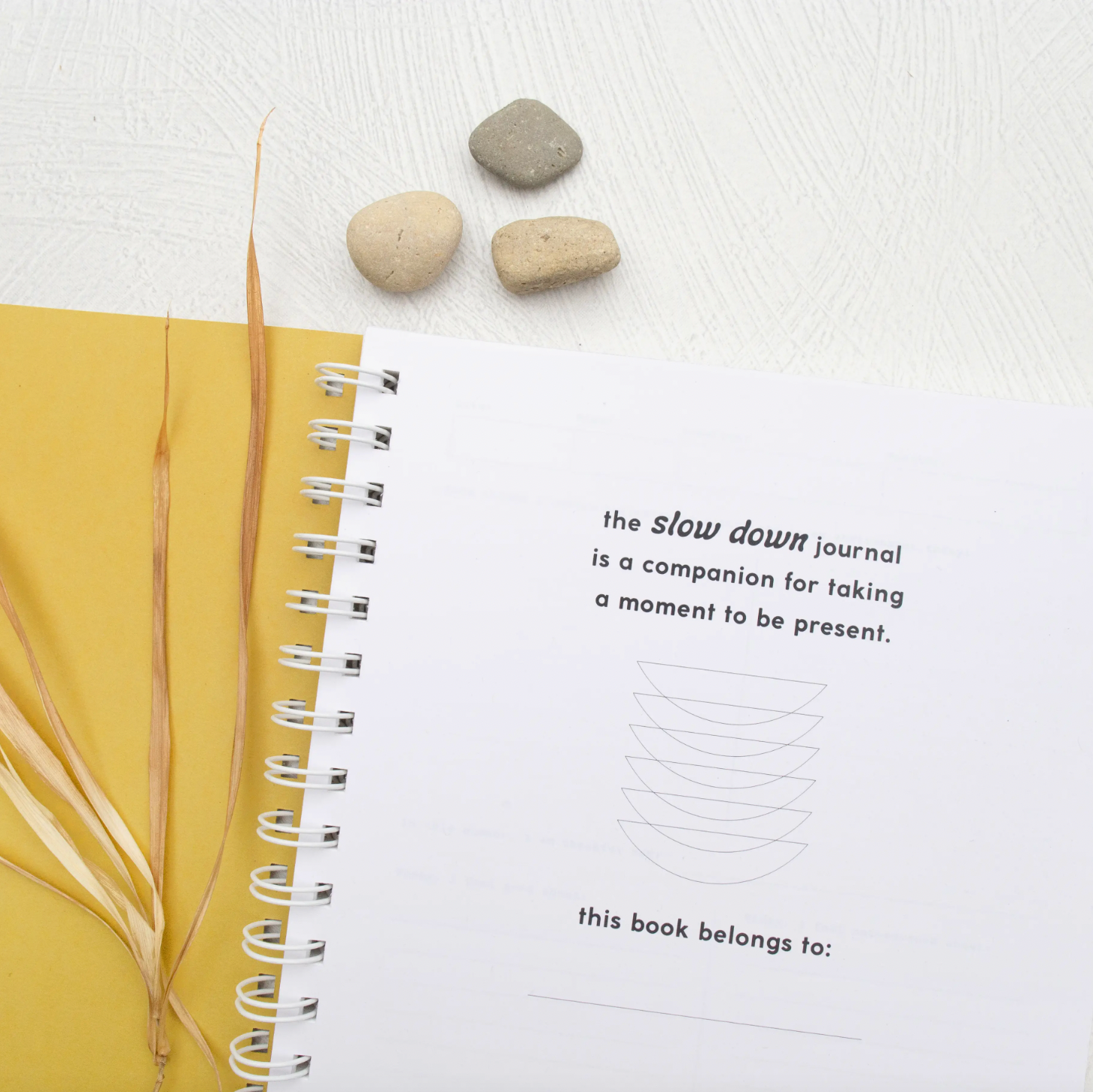 Journal • Slow Down cards + gifts Homebody Candle Co