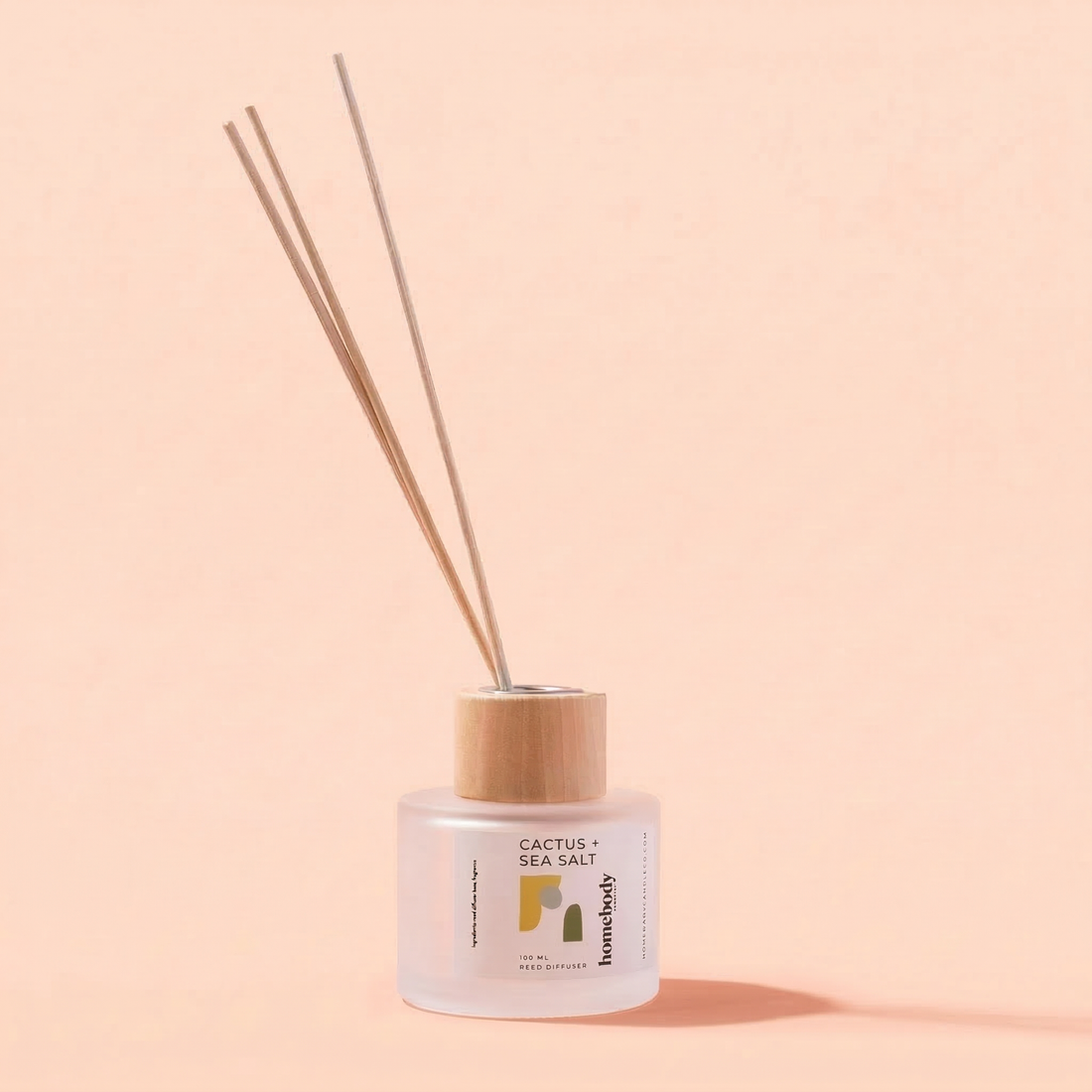 Cactus + Sea Salt Diffuser Homebody Candle Co