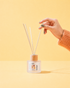 Palo Santo - Homebody Candle LLC
