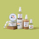 Sugar + Spruce ✸ winter collection perfume oil Homebody Candle Co